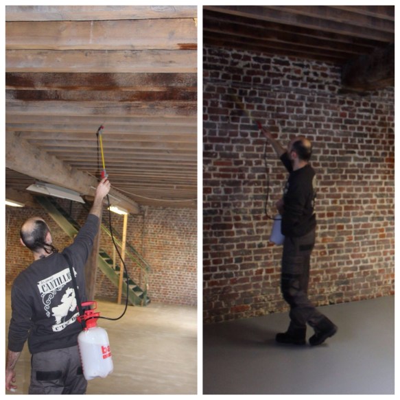 Processed with Moldiv